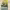 https://res.cloudinary.com/billionhands/image/upload/v1780871667/items/ttlxslk4dk6kkrjsv1df.jpg-1cover