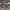 https://res.cloudinary.com/billionhands/image/upload/v1780872086/items/rdmid6w4yigjthqlkv8v.jpg-2cover