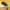 https://res.cloudinary.com/billionhands/image/upload/v1780873120/items/tlra1jrri0ezrk9h7zni.webp-2cover