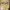 https://res.cloudinary.com/billionhands/image/upload/v1780873325/items/tudxddqowmajbptjcqb5.jpg-2cover