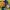https://res.cloudinary.com/billionhands/image/upload/v1780875293/items/sm1m4zlotuprqygln75n.webp-0cover