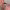 https://res.cloudinary.com/billionhands/image/upload/v1780875841/items/rmsmw1g9iagtmyi0e5c2.webp-0cover
