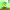 https://res.cloudinary.com/billionhands/image/upload/v1780876313/items/drlvyq4c2qxfi1z2l4xq.jpg-1cover