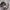 https://res.cloudinary.com/billionhands/image/upload/v1780876730/items/hpunx7tqscv9ijh0hxpd.png-3cover