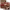 https://res.cloudinary.com/billionhands/image/upload/v1780876777/items/hiksxe5znxnbufuj9ihe.avif-0cover