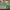 https://res.cloudinary.com/billionhands/image/upload/v1780876777/items/vapndkcbhxvshmkc0k2h.jpg-0cover