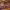 https://res.cloudinary.com/billionhands/image/upload/v1780876781/items/tjfstkgqwfhwpxe3evln.jpg-3cover