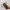 https://res.cloudinary.com/billionhands/image/upload/v1780877589/items/qaz6zddyhetjj8hjqxne.avif-1cover
