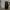 Mouvair Swan Smart Electric Kettle (1.5 Liters) cover
