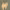 https://res.cloudinary.com/billionhands/image/upload/v1780878871/items/fig5g3ye7s3uxjv6emce.jpg-0cover