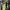 https://res.cloudinary.com/billionhands/image/upload/v1780879548/items/dswztevrodjuimqpil0q.webp-0cover