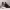 https://res.cloudinary.com/billionhands/image/upload/v1780880151/items/gjynzank9onsgpsoqidl.jpg-1cover