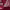 https://res.cloudinary.com/billionhands/image/upload/v1780880742/items/sw7rflphpqylpqsyhtib.webp-1cover