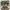 https://res.cloudinary.com/billionhands/image/upload/v1780881368/items/qp7vmiads11i7mwlxtlo.webp-0cover