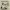 https://res.cloudinary.com/billionhands/image/upload/v1780882773/items/ue30n4vwbqnwzsrcvuwz.jpg-2cover