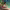 https://res.cloudinary.com/billionhands/image/upload/v1780882954/items/sjzonomkzrjih1soasd7.webp-3cover