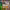 https://res.cloudinary.com/billionhands/image/upload/v1780883521/items/pokxduyye6tpw8mcuog3.webp-3cover