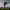 https://res.cloudinary.com/billionhands/image/upload/v1780884277/items/tsmfvhfcexab2itglfxa.jpg-2cover