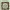 https://res.cloudinary.com/billionhands/image/upload/v1780885873/items/ivbpo2ffykymr4n2rzey.jpg-1cover