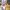 https://res.cloudinary.com/billionhands/image/upload/v1780886129/items/yprzi4a5hwddnlnxk4cc.jpg-2cover
