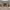 https://res.cloudinary.com/billionhands/image/upload/v1780886412/items/famlzwax59gjva0kbou1.jpg-0cover
