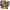 https://res.cloudinary.com/billionhands/image/upload/v1780886723/items/lhlihohbftewuycmyygw.jpg-2cover