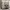 https://res.cloudinary.com/billionhands/image/upload/v1780886724/items/bodwcyk3lz4oawngcpiv.jpg-0cover