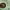 https://res.cloudinary.com/billionhands/image/upload/v1780887322/items/sats2vuspqvrwa64bb66.jpg-1cover