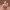 https://res.cloudinary.com/billionhands/image/upload/v1780887515/items/eufhyluhwkiqjp9tyorz.avif-0cover