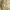 https://res.cloudinary.com/billionhands/image/upload/v1780887776/items/fgyaddpjkfpl3cfjrukm.webp-3cover