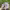 https://res.cloudinary.com/billionhands/image/upload/v1780887978/items/cnctm6f0s0pohidlkcto.webp-1cover