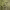 https://res.cloudinary.com/billionhands/image/upload/v1780888154/items/k7ilcxkpizrmnagdyqiw.webp-0cover