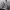 https://res.cloudinary.com/billionhands/image/upload/v1780888634/items/gjgmgcv2xcyav31rxfgs.jpg-1cover