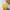 https://res.cloudinary.com/billionhands/image/upload/v1780889334/items/yzfpkftcnxpirsoryvy3.jpg-1cover