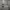 https://res.cloudinary.com/billionhands/image/upload/v1780890064/items/jhhpuspbphysrdfvmzlv.jpg-2cover