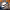 https://res.cloudinary.com/billionhands/image/upload/v1780890260/items/x7xdhnqwnigx5rowcxyp.jpg-1cover