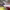 https://res.cloudinary.com/billionhands/image/upload/v1780891334/items/snnihm0qqxrbslmb41ge.jpg-0cover