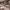 https://res.cloudinary.com/billionhands/image/upload/v1780891878/items/erzqr9osfi71ch0hhfdi.jpg-3cover