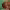 https://res.cloudinary.com/billionhands/image/upload/v1780894718/items/xr2rsjwahazxysbhbwtc.jpg-0cover