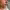 https://res.cloudinary.com/billionhands/image/upload/v1780894979/items/ltngr0isjiw1r6kujqmt.png-1cover