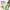https://res.cloudinary.com/billionhands/image/upload/v1780895791/items/cw0pjc3bsojablzpelod.webp-1cover