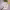 https://res.cloudinary.com/billionhands/image/upload/v1780895895/items/lwi11vvssn5iseckscc8.webp-3cover