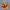https://res.cloudinary.com/billionhands/image/upload/v1780897826/items/quytytxbd8fjhzv4bcgw.png-3cover