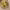https://res.cloudinary.com/billionhands/image/upload/v1780898686/items/n3jiqzorjvjstfz99p3h.jpg-3cover