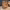 https://res.cloudinary.com/billionhands/image/upload/v1780899145/items/z1pluevxpbyviyrpnflq.webp-0cover