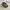 https://res.cloudinary.com/billionhands/image/upload/v1780899148/items/js99rus3ypxwjtfcxoxk.webp-3cover