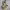 https://res.cloudinary.com/billionhands/image/upload/v1780900982/items/zncqoknnweofyjn53jy7.jpg-3cover