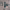 https://res.cloudinary.com/billionhands/image/upload/v1780901441/items/h2bjxtxdj3t83zozyl3t.jpg-0cover