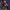 Twitch cover