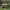 https://res.cloudinary.com/billionhands/image/upload/v1780902206/items/utkvgzr3qohqslqbqqxw.jpg-0cover